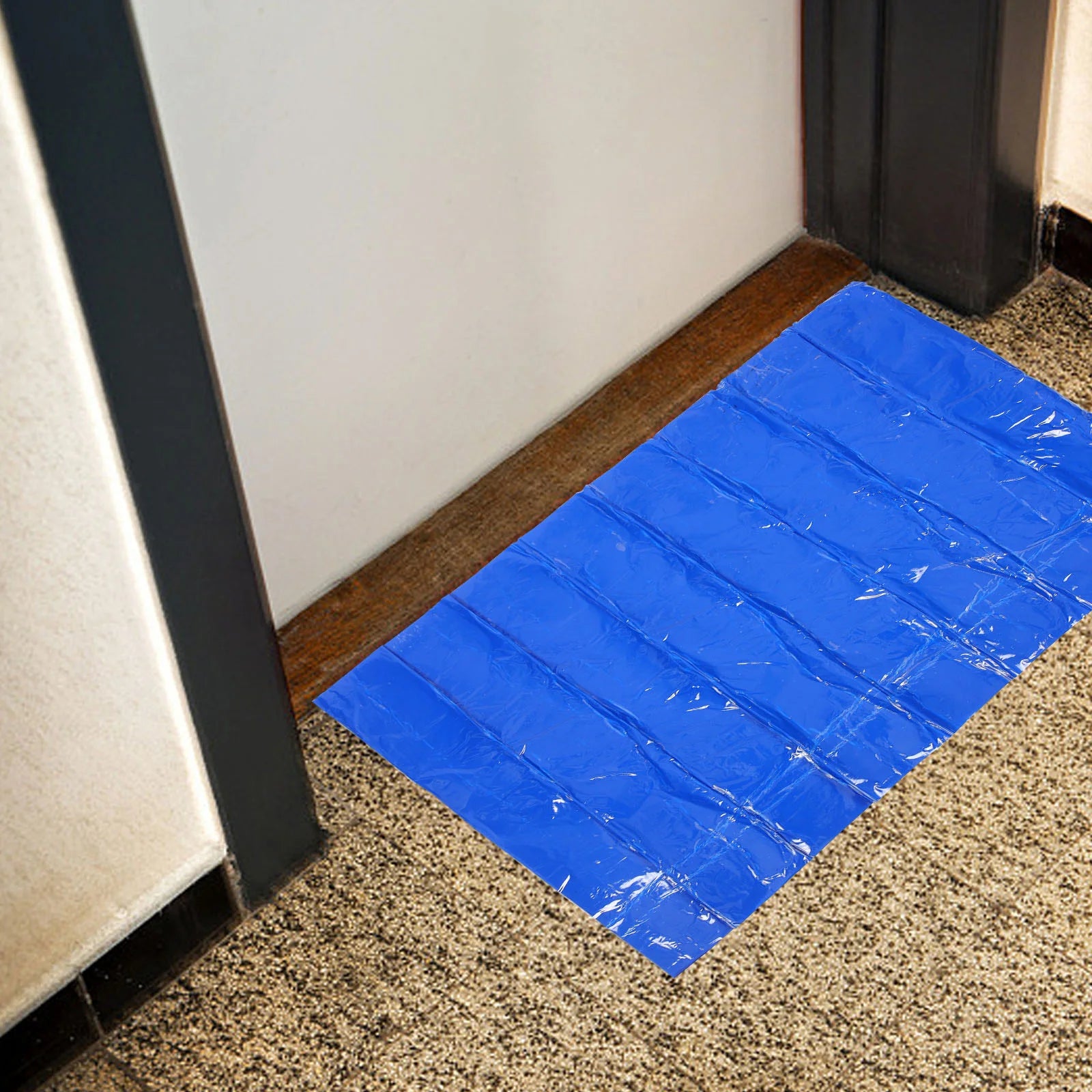 Tapis de décontamination cuisine